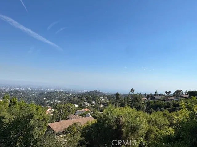 Back yard view