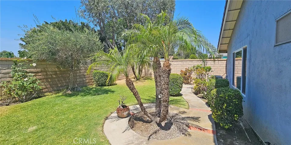 BACKYARD 2
