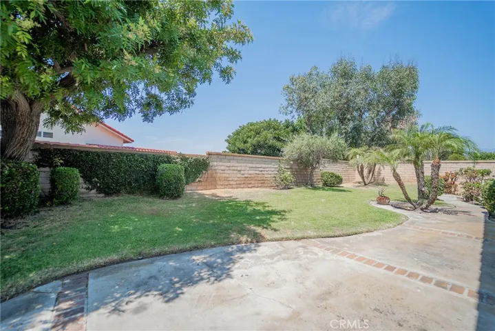 BACKYARD 1