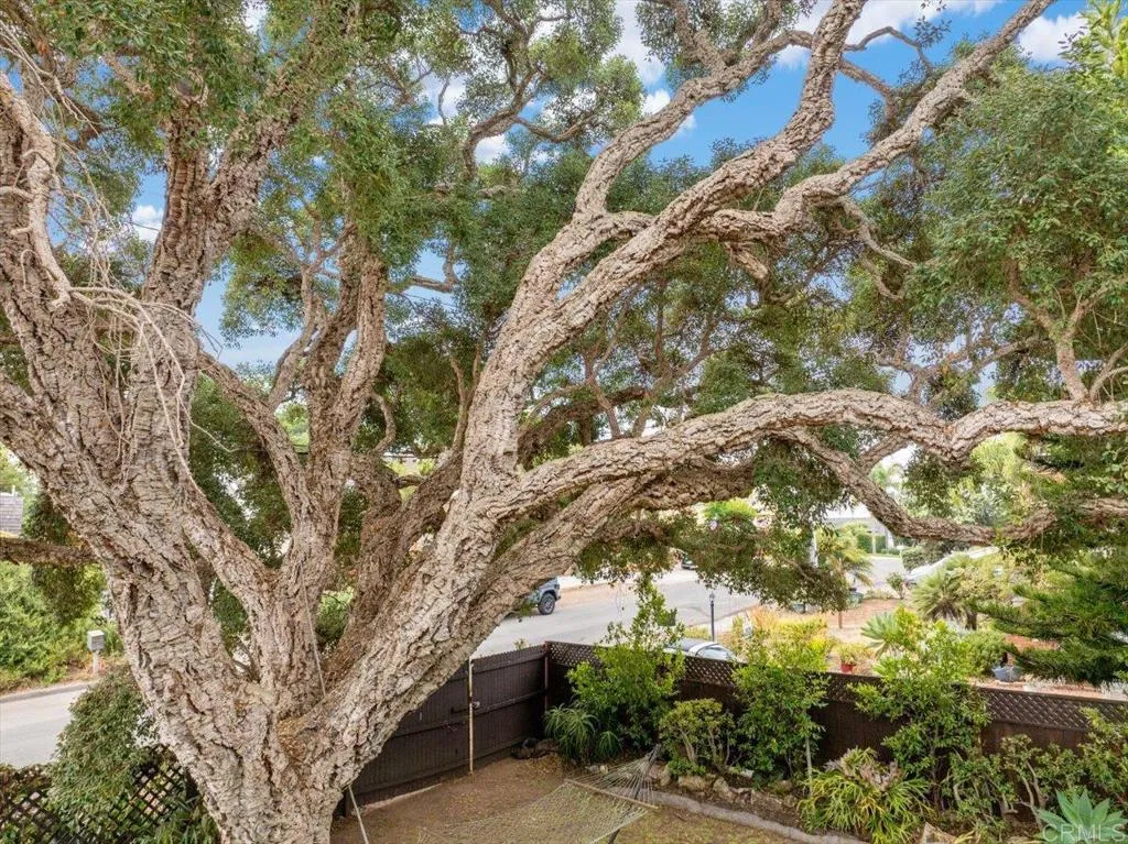 334 Date Avenue, Carlsbad, California 92008 home-pic-18