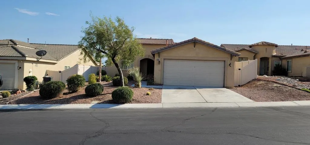 Resized_20250807_164459(0)