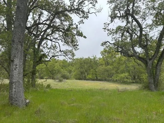 0 Lambert Flat Road, Carmel Valley, California 93924