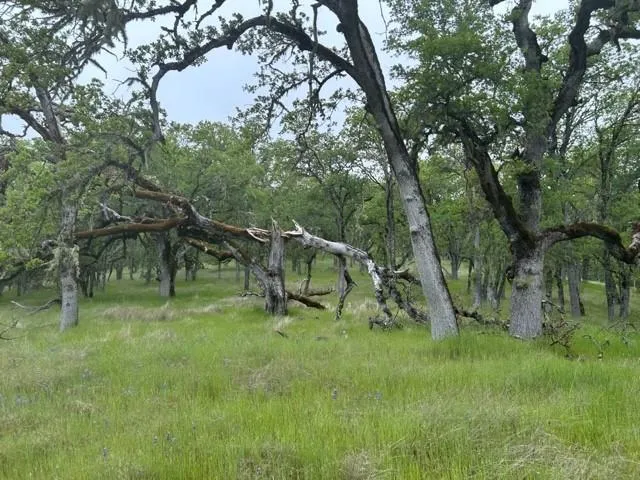 0 Lambert Flat Road, Carmel Valley, California 93924