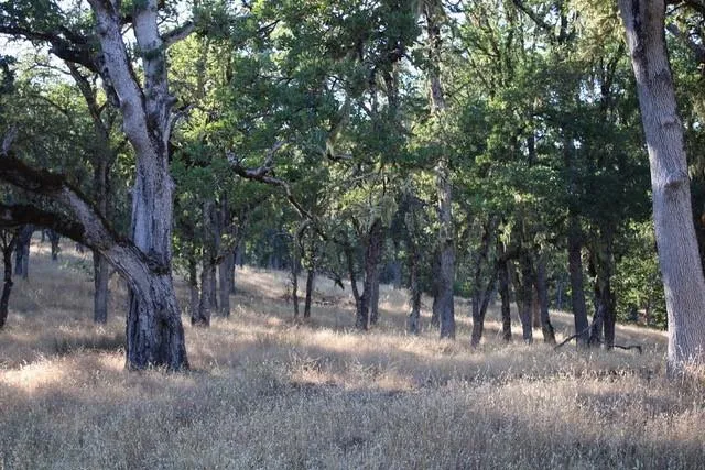 0 Lambert Flat Road, Carmel Valley, California 93924