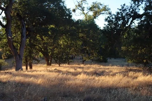 0 Lambert Flat Road, Carmel Valley, California 93924