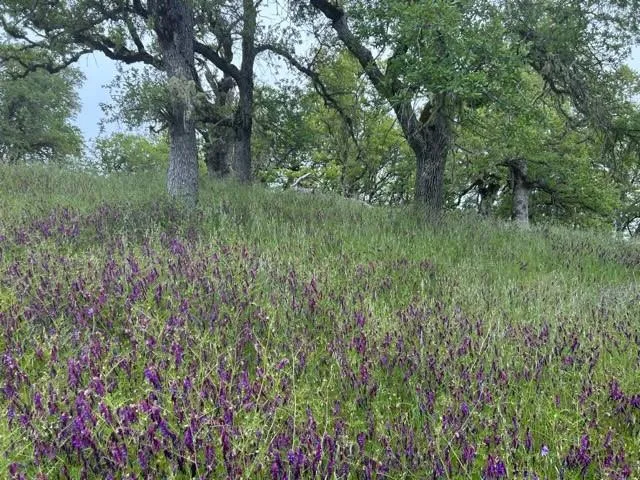 0 Lambert Flat Road, Carmel Valley, California 93924
