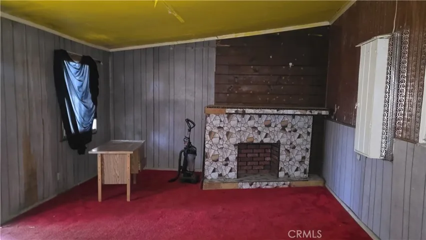 Fireplace in Den