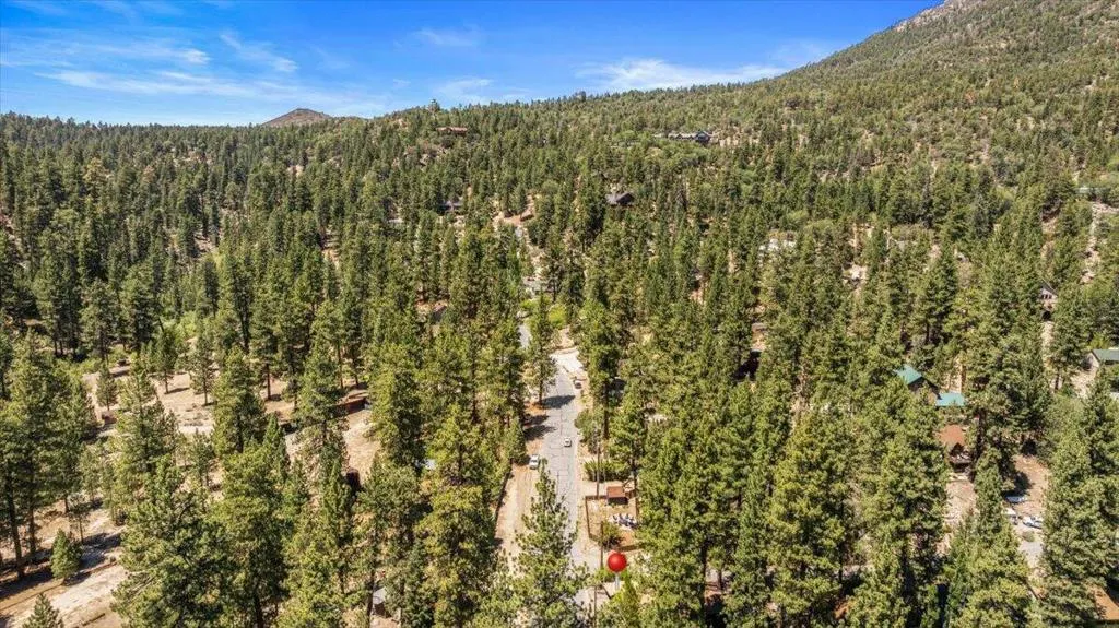 39148 Rim Of The World Drive, Fawnskin, California 92333 home-pic-2