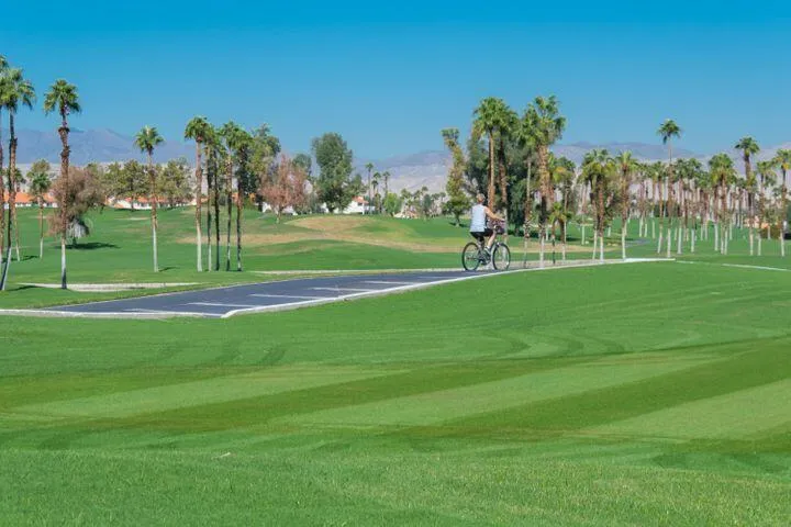 105 Brandigo Circle, Palm Desert, California 92211 home-pic-37
