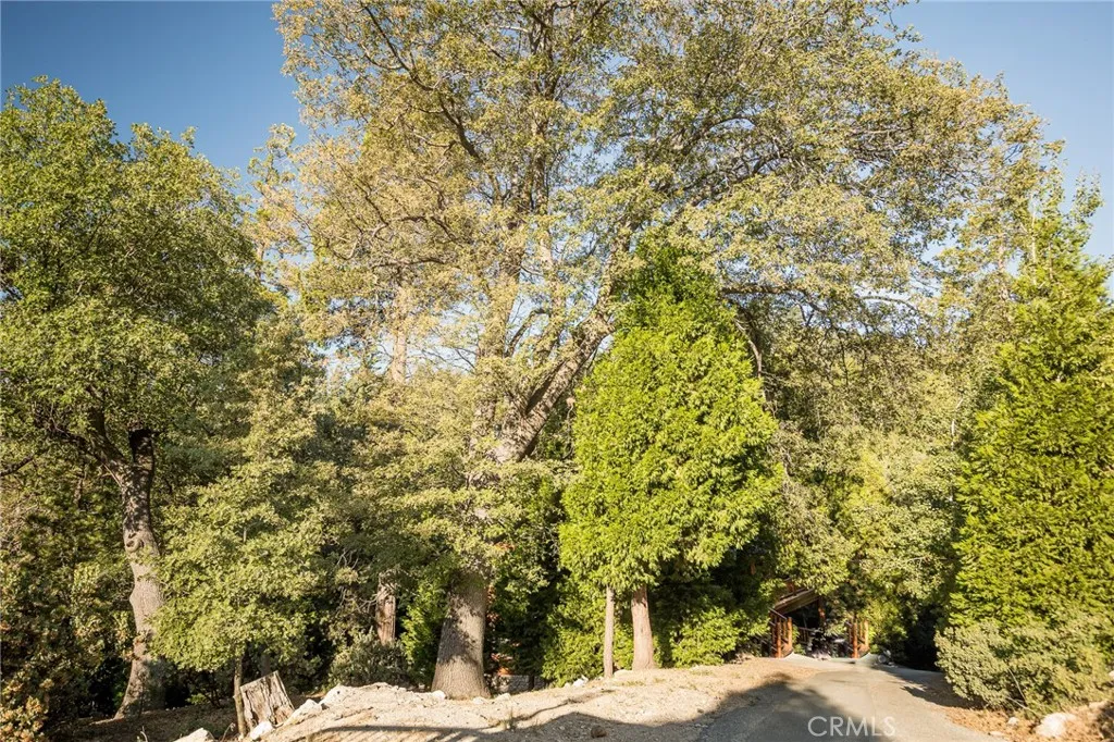 27492 Cedarwood Court, Lake Arrowhead, California 92352 home-pic-40