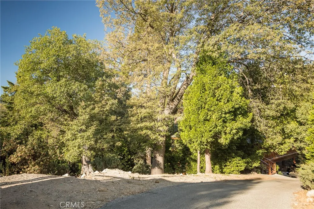 27492 Cedarwood Court, Lake Arrowhead, California 92352 home-pic-39