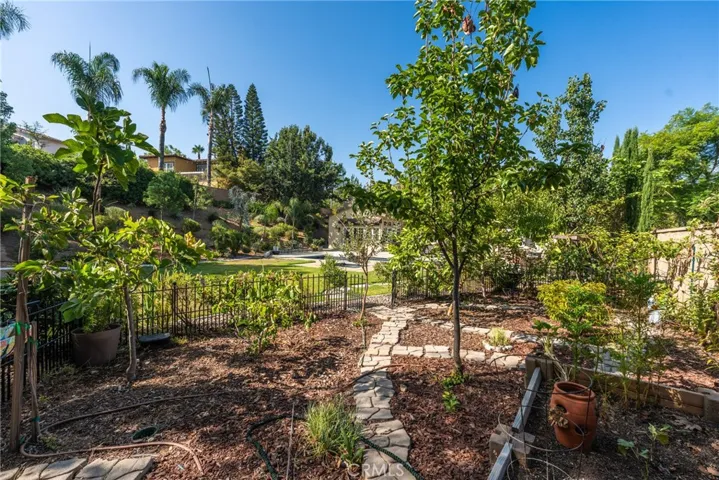 1435 Patricia Drive, Redlands, California 92373