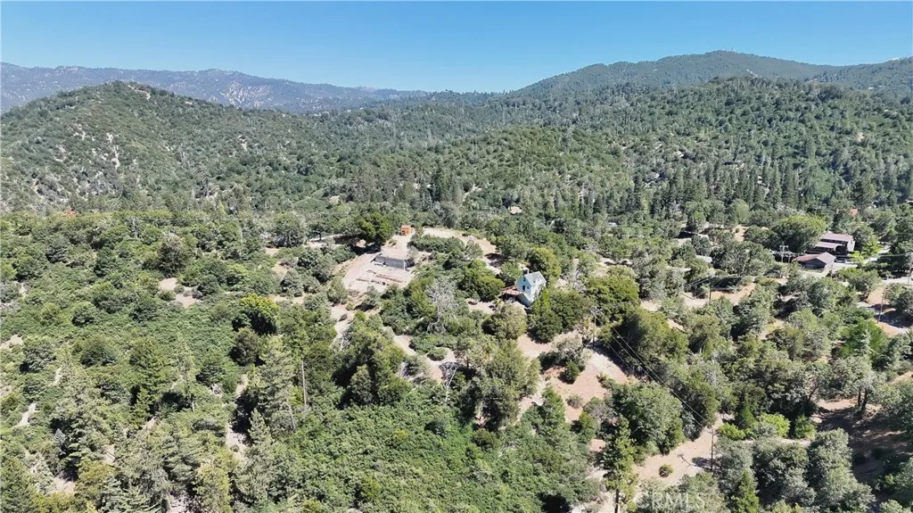 29629 Little Bear Creek Road, Cedar Glen, California 92321 — photo 4