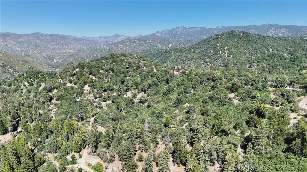 29629 Little Bear Creek Road, Cedar Glen, California 92321 — photo 5