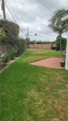Large backyard