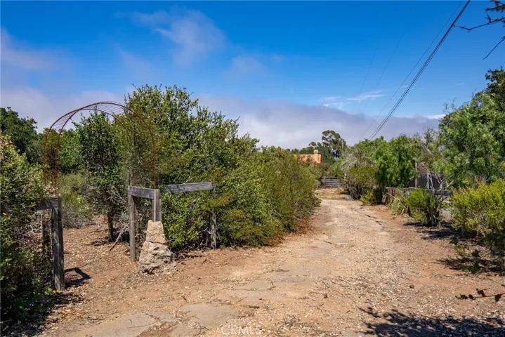 Pathway through the pygmy oaks and private driveway.