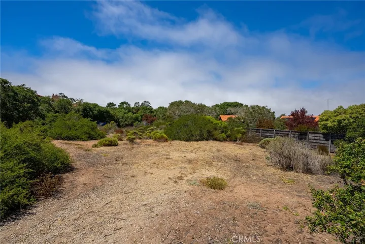 Cleared building area at back section of the parcel.