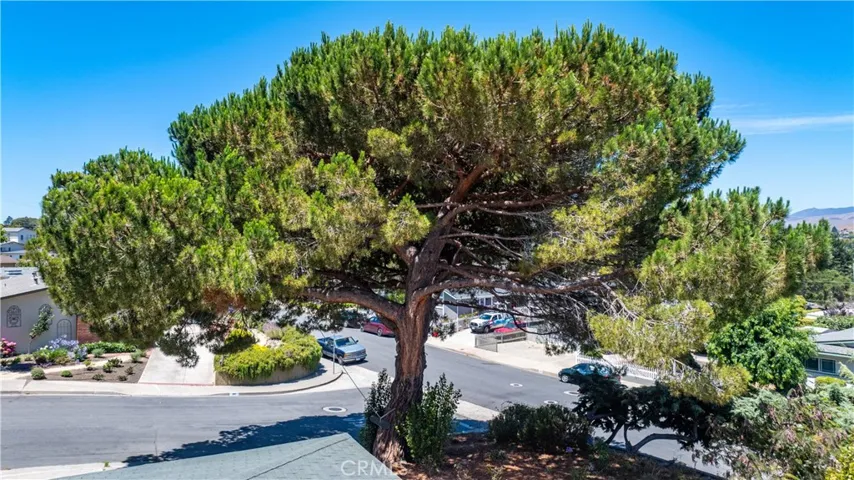 299 Hermosa Way, San Luis Obispo, California 93405