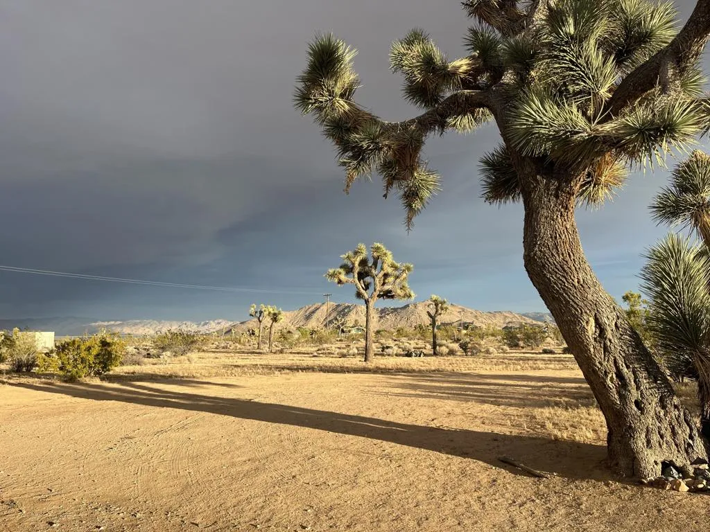 60010 Darlinda Drive, Yucca Valley, California 92284 home-pic-69