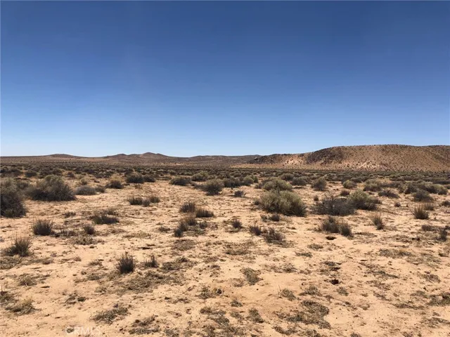 View looking west from Burnt Tree on your eastern boundary line.