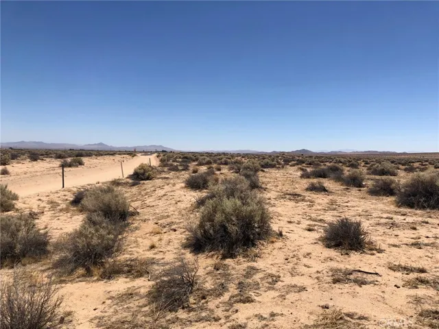 View looking south from the eastern boundary. The road is Mountain View.
