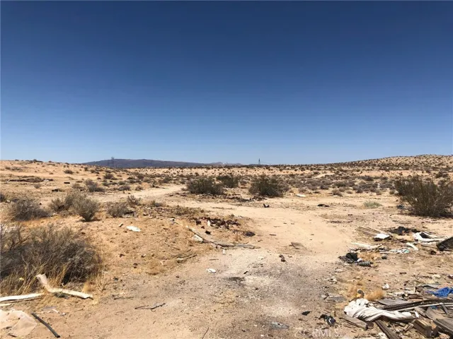View looking NW at he western boundary.