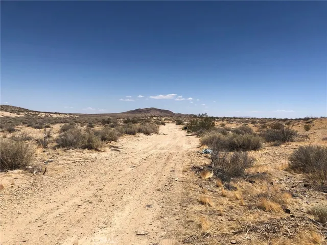 Road going back south to Burnet Tree. I am on American Way.