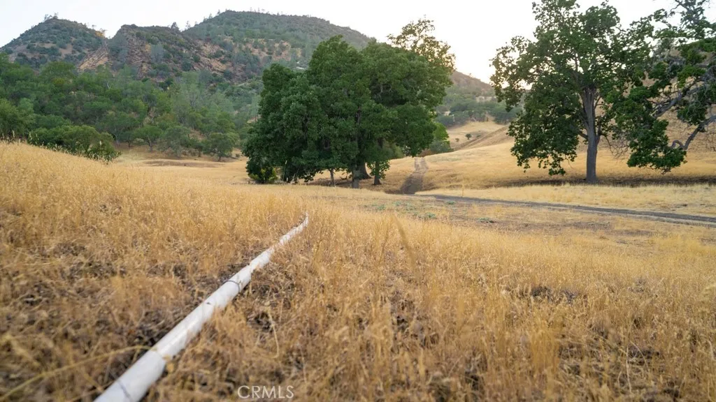47069 Crump Lane, Coalinga, California 93210 home-pic-64