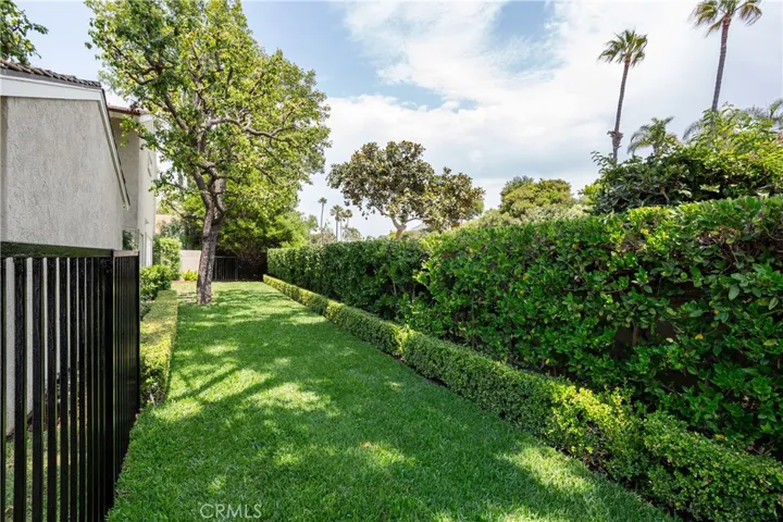 Lawn area