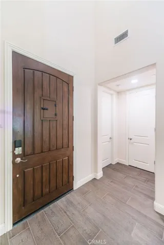 Speakeasy door front door interior view