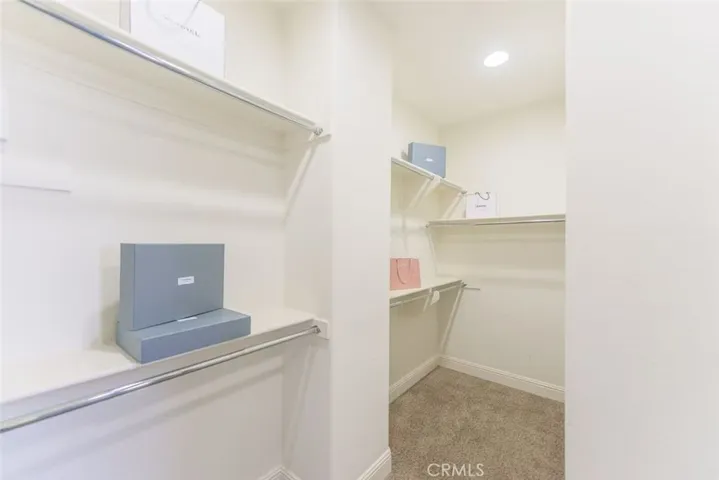 his closet view