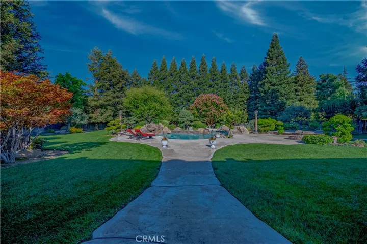 Back yard