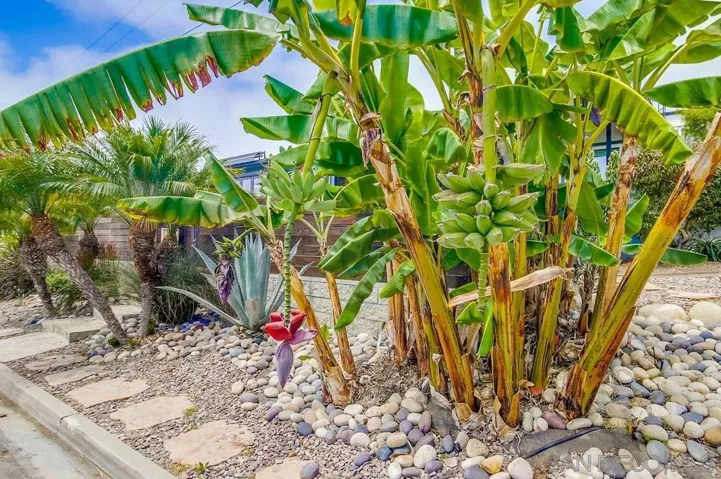 1256 Plum Street, San Diego, California 92106