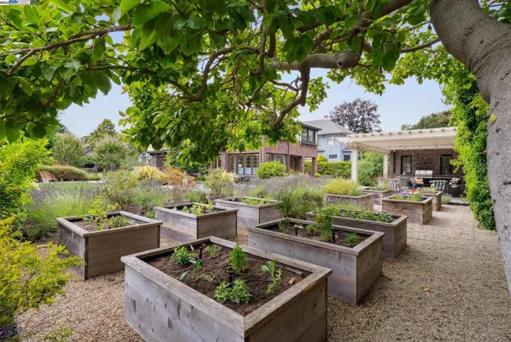 Planters