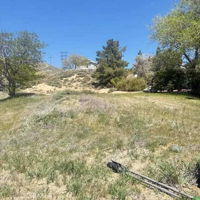 1 Johnson Road, Lake Elizabeth, California 93532 — photo 5