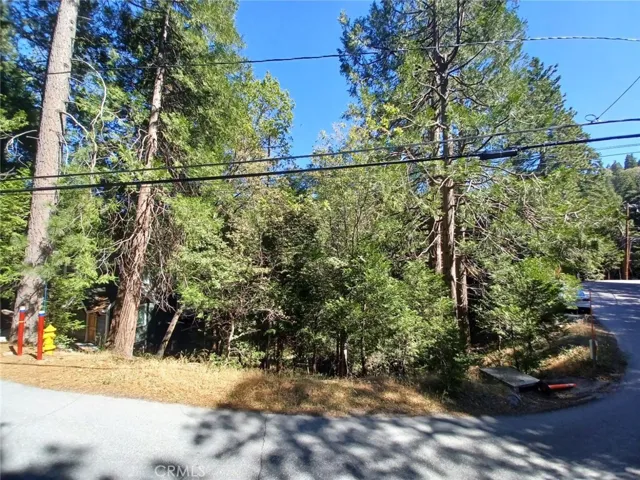 Lot Located Around a Bend Between 471 Clubhouse Drive & 467 Clubhouse Drive.