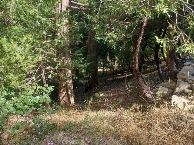 Inside Lot Picture