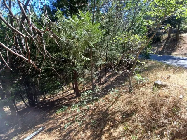 Slope From The Street