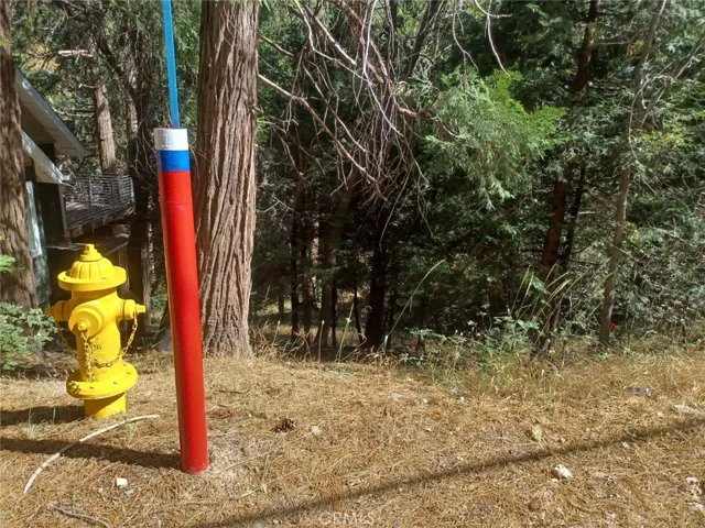 Distance Of Fire Hydrant located Near Or On Lot.