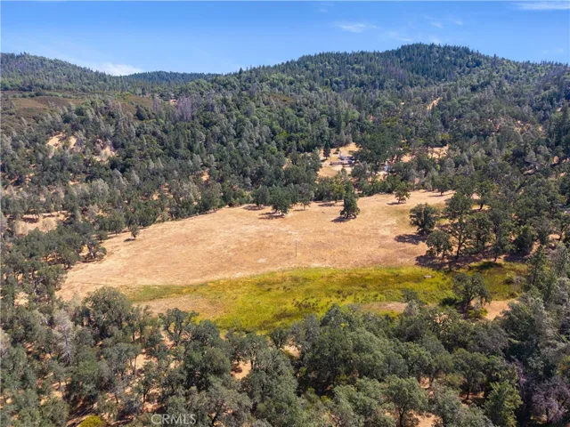 Pasture view from above