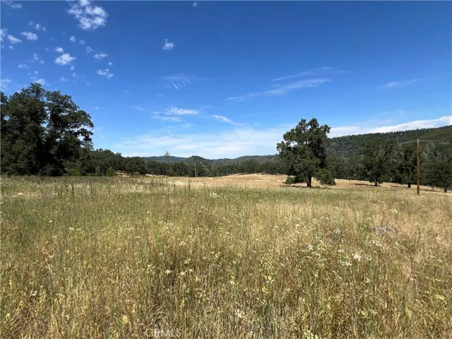 Pasture