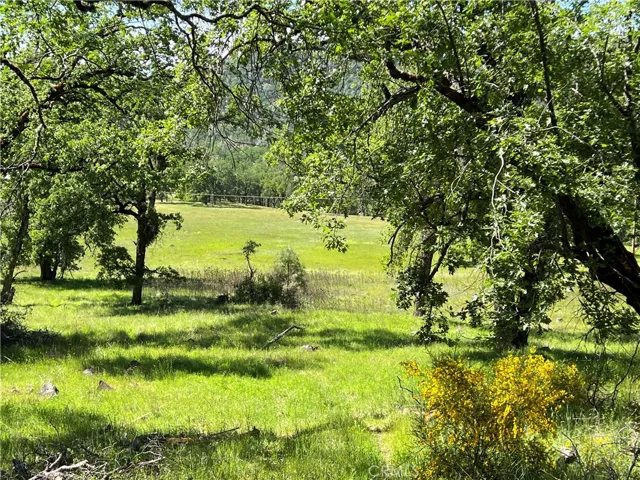 Pasture in Spring. View from Sulphur Creek Rd
