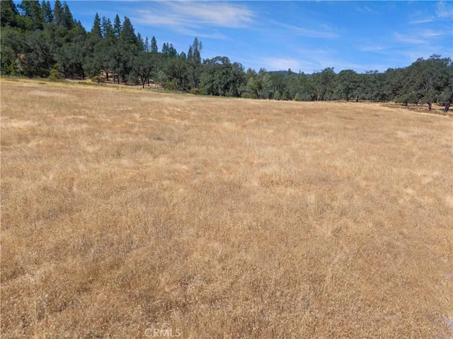 Pasture