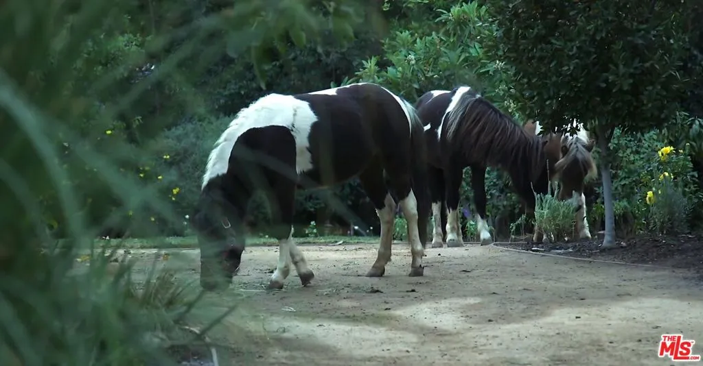 4750 Encino Avenue, Encino, California 91316 home-pic-15