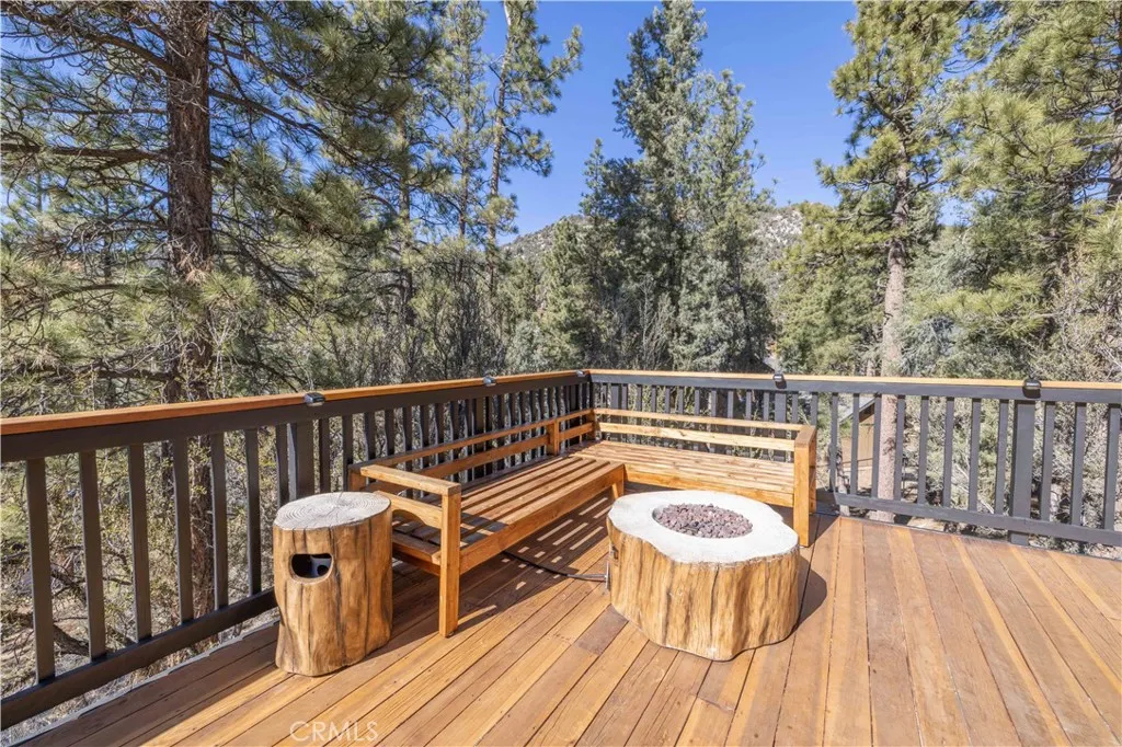 1107 Cedar Mountain Road, Big Bear City, California 92314 home-pic-12