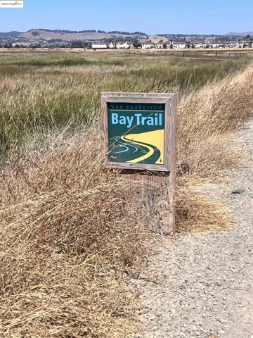Bay Trail
