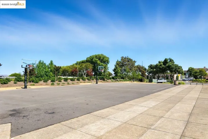 basketball court