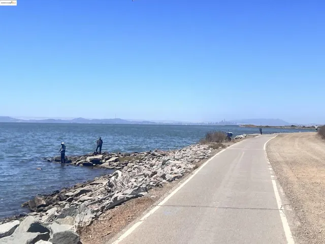 Bay Trail