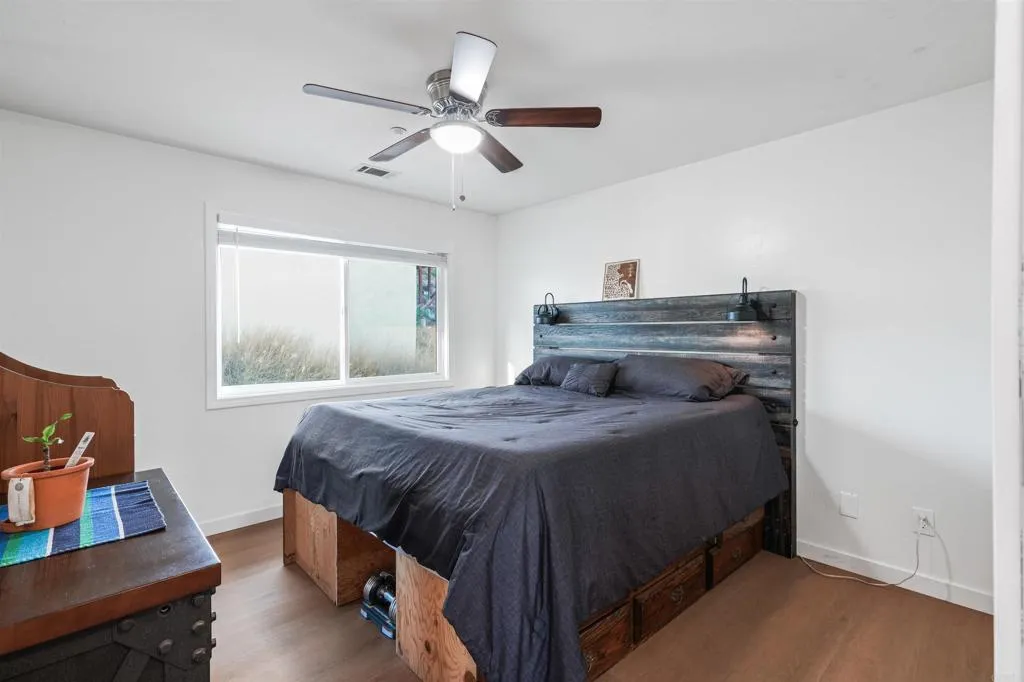 1421 Maria Avenue, Spring Valley, California 91977 home-pic-16