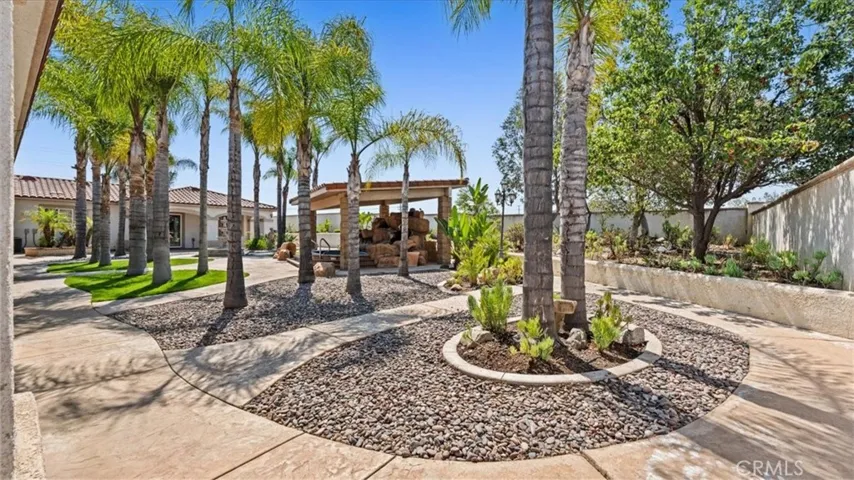 Back Yard View 1